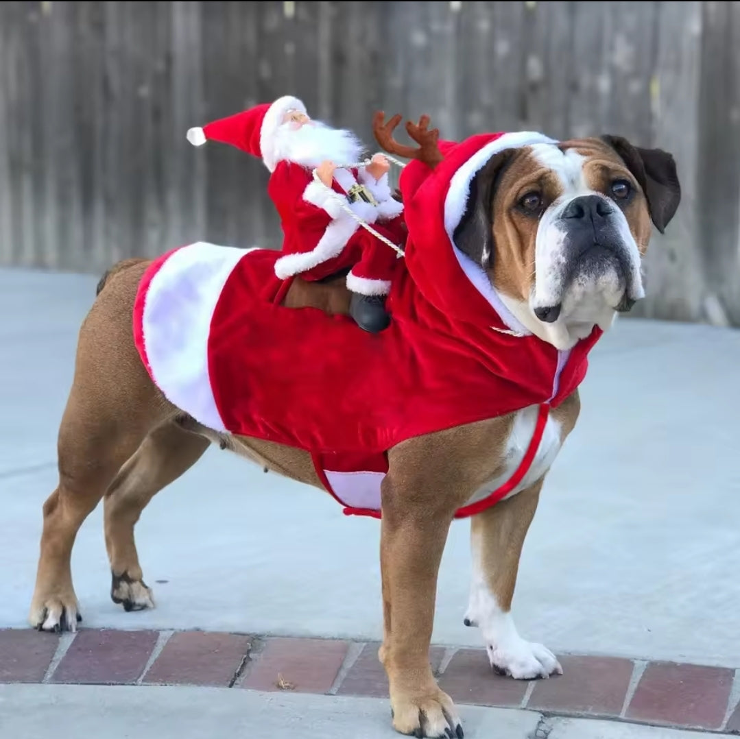 Dog costume with Santa riding